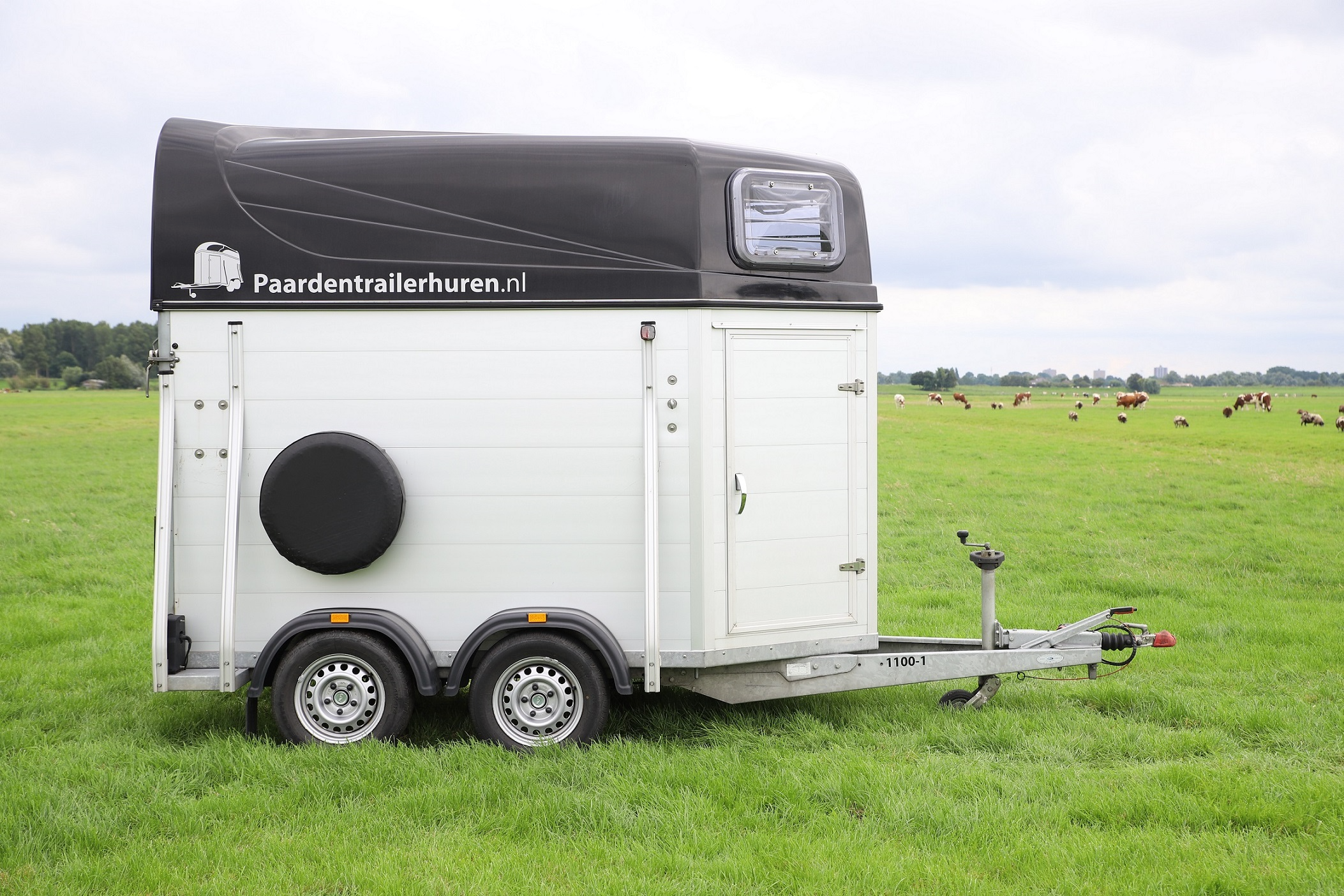 1,5 paardstrailer